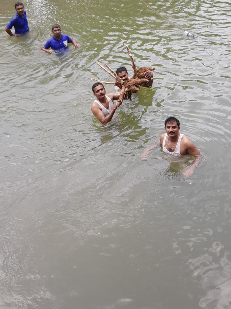 your image